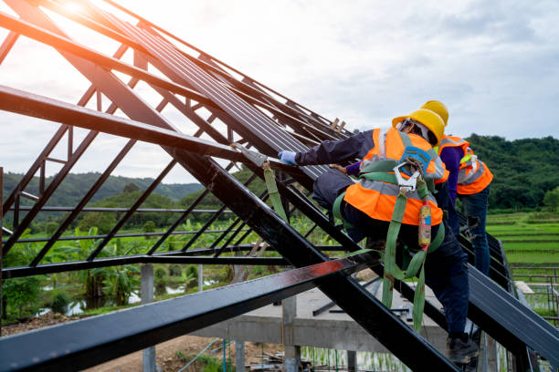 Best Roof Maintenance Services  in Powell, WY