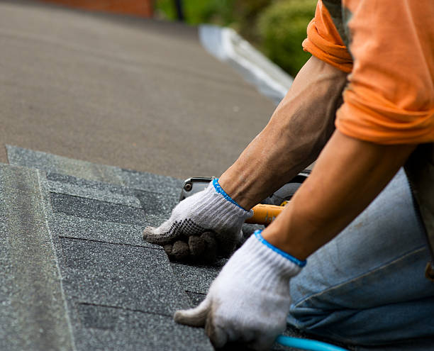 Best Flat Roof Repair Services  in Powell, WY