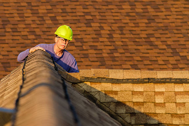 Best Roof Repair Services  in Powell, WY