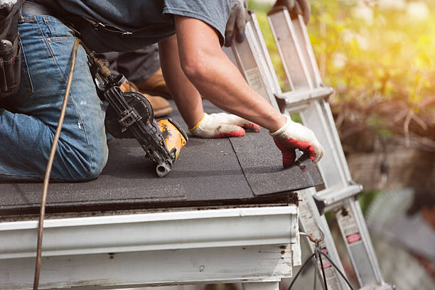 Best Storm Damage Roof Repair  in Powell, WY
