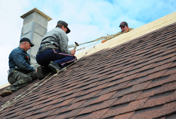 Best Roof Replacement Cost  in Powell, WY