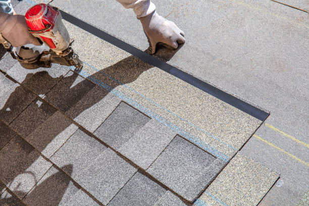 Best Storm Damage Roof Repair  in Powell, WY